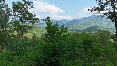 Lot 7 Eagle Fork Summit #7, HAYESVILLE, New York image 8