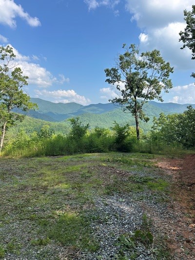 Lot 7 Eagle Fork Summit #7, HAYESVILLE, New York image 3