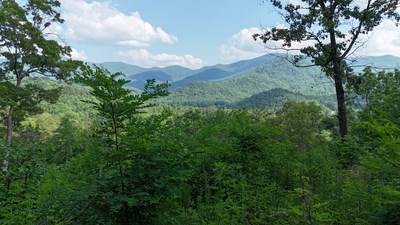 Lot 7 Eagle Fork Summit #7, HAYESVILLE, New York image 9