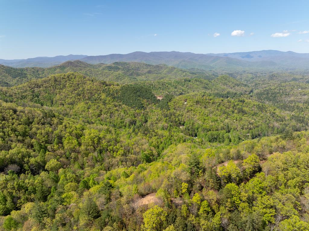 TBD Shell Stand Road, ROBBINSVILLE, North Carolina image 1