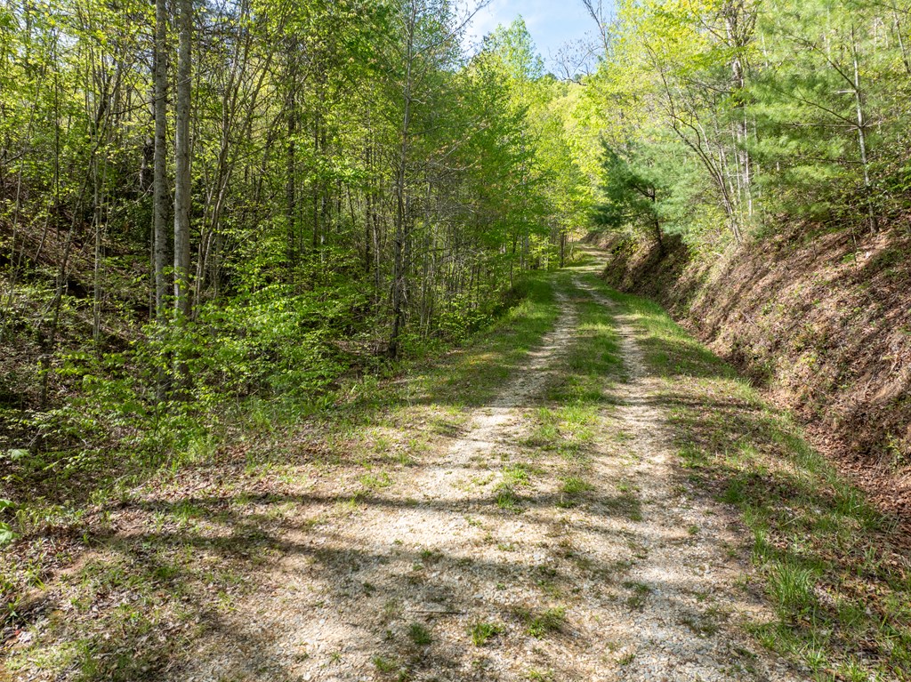 TBD Shell Stand Road, ROBBINSVILLE, North Carolina image 23