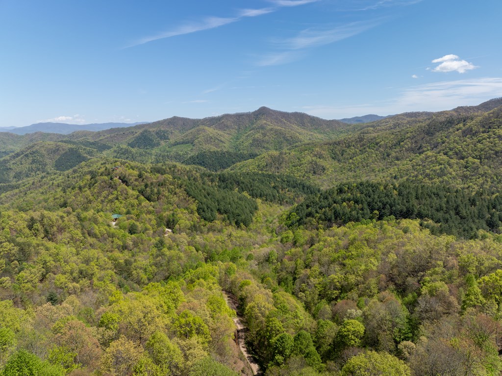 TBD Shell Stand Road, ROBBINSVILLE, North Carolina image 6