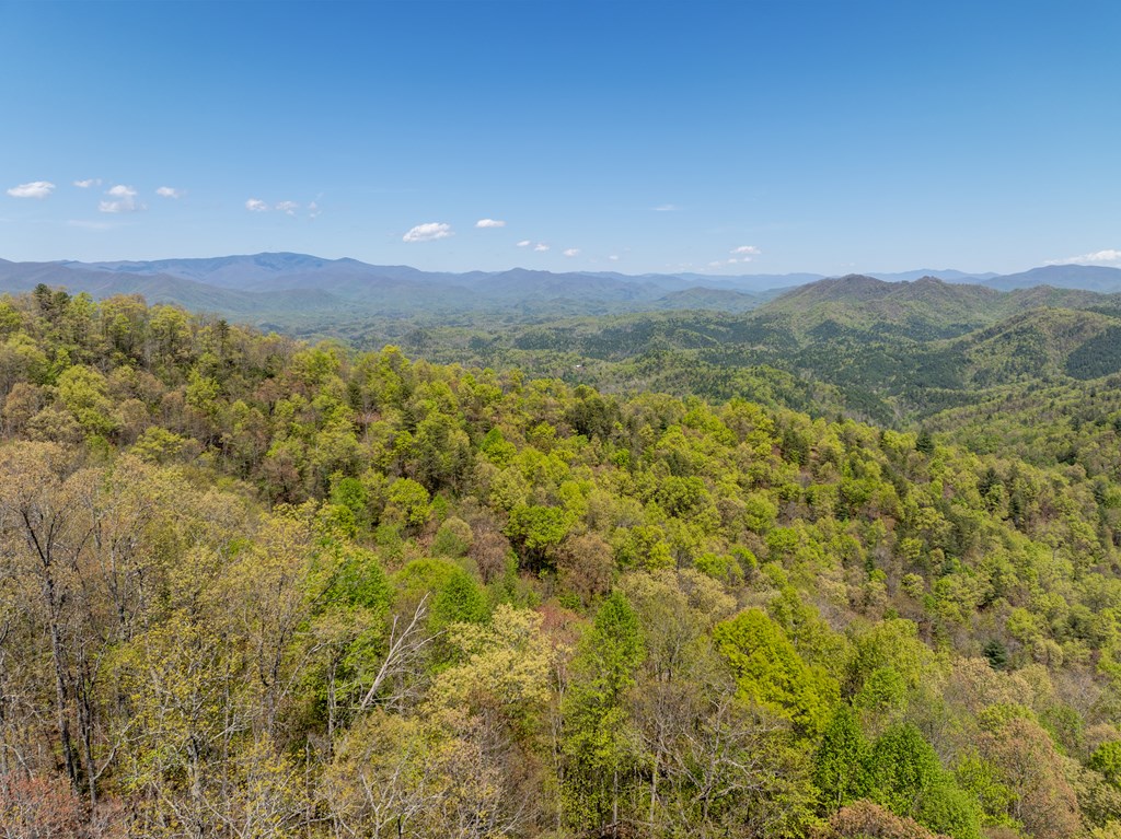 TBD Shell Stand Road, ROBBINSVILLE, North Carolina image 11