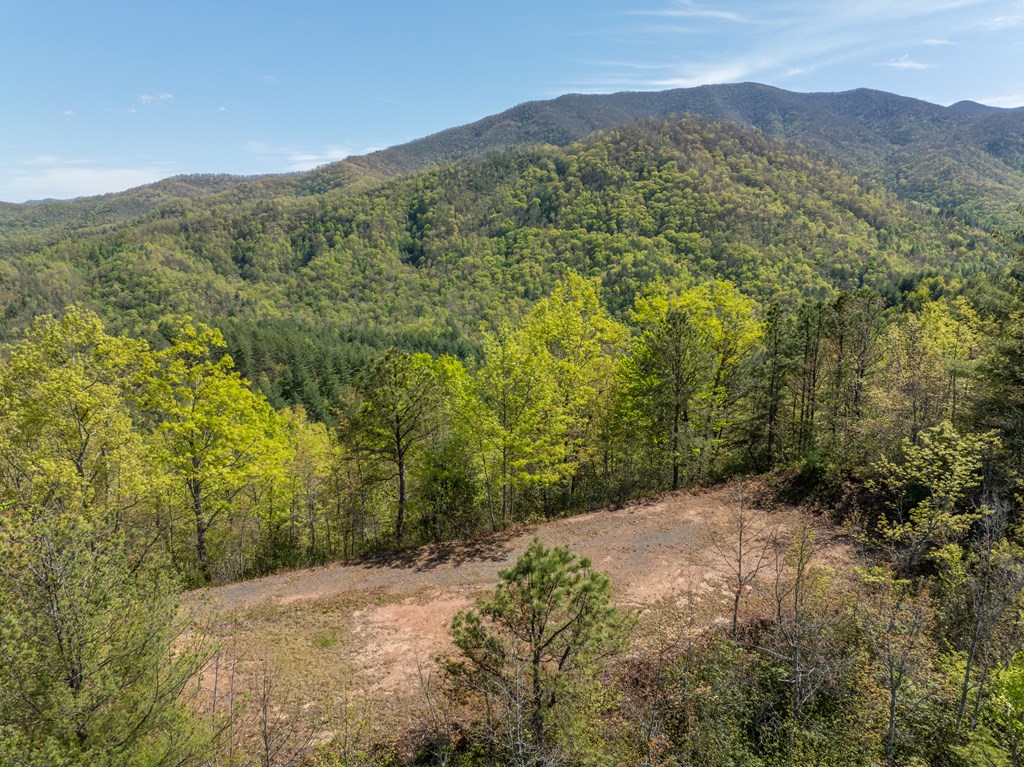 TBD Shell Stand Road, ROBBINSVILLE, North Carolina image 30