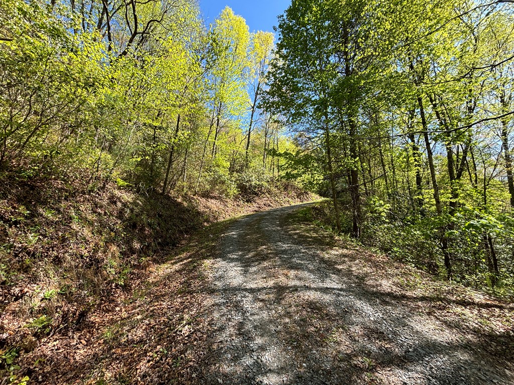 TBD Shell Stand Road, ROBBINSVILLE, North Carolina image 9