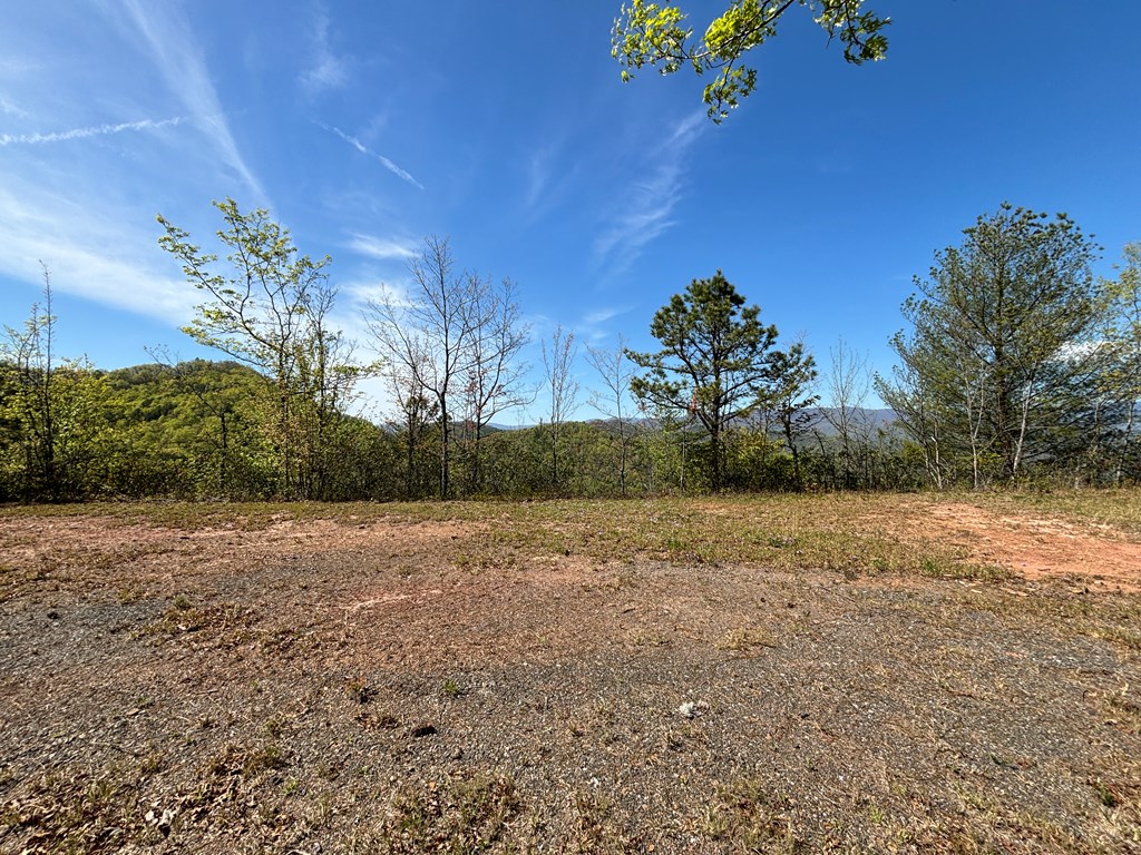 TBD Shell Stand Road, ROBBINSVILLE, North Carolina image 4