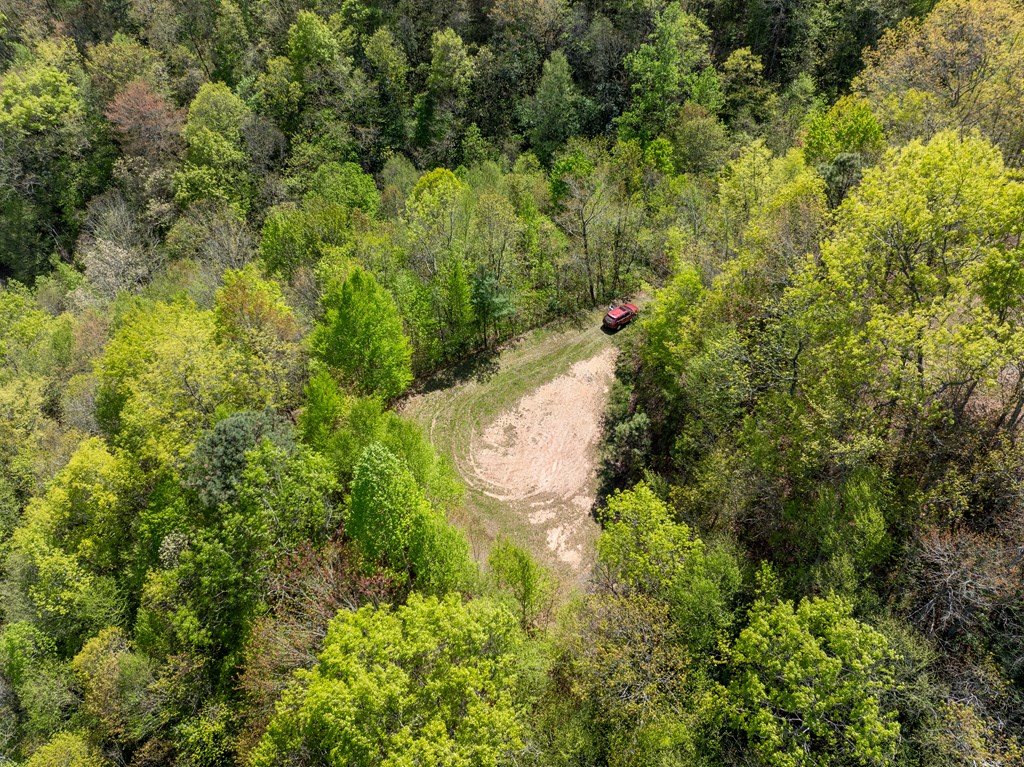 TBD Shell Stand Road, ROBBINSVILLE, North Carolina image 13