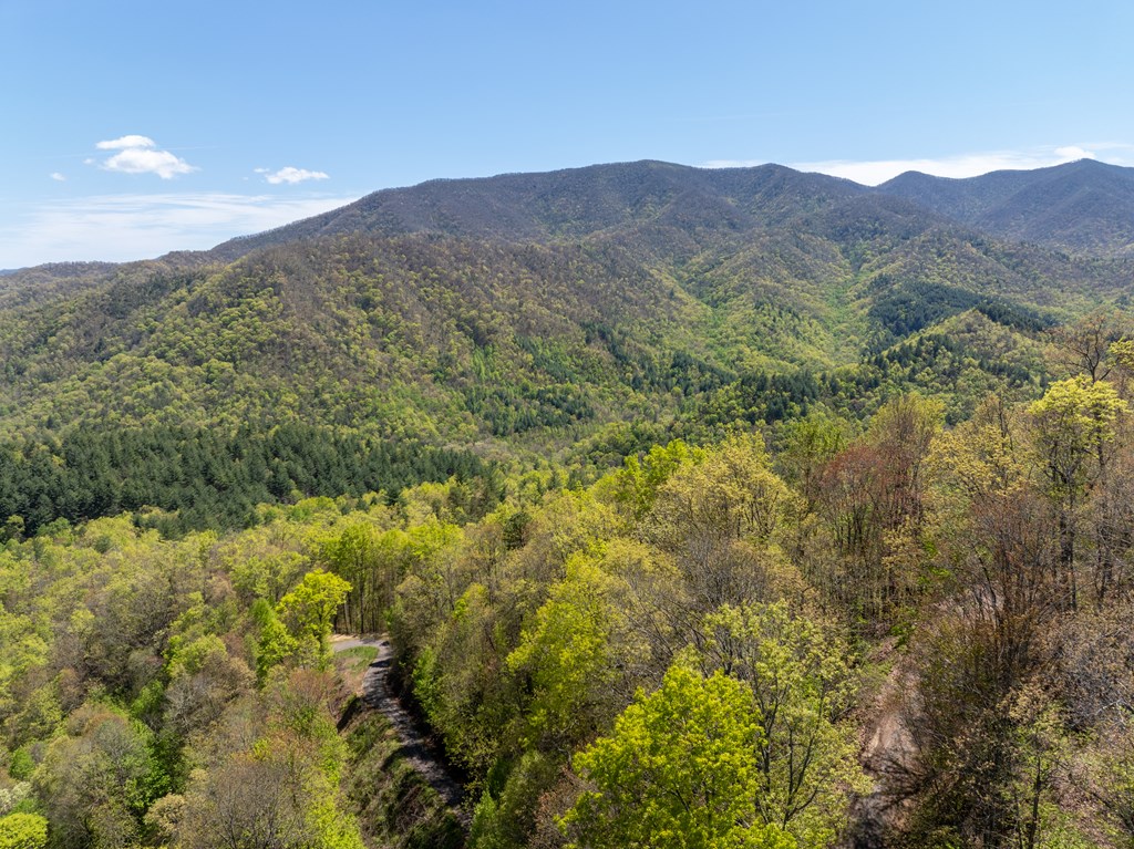 TBD Shell Stand Road, ROBBINSVILLE, North Carolina image 3