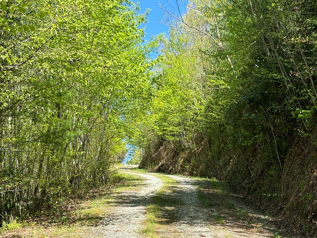 TBD Shell Stand Road, ROBBINSVILLE, North Carolina image 16