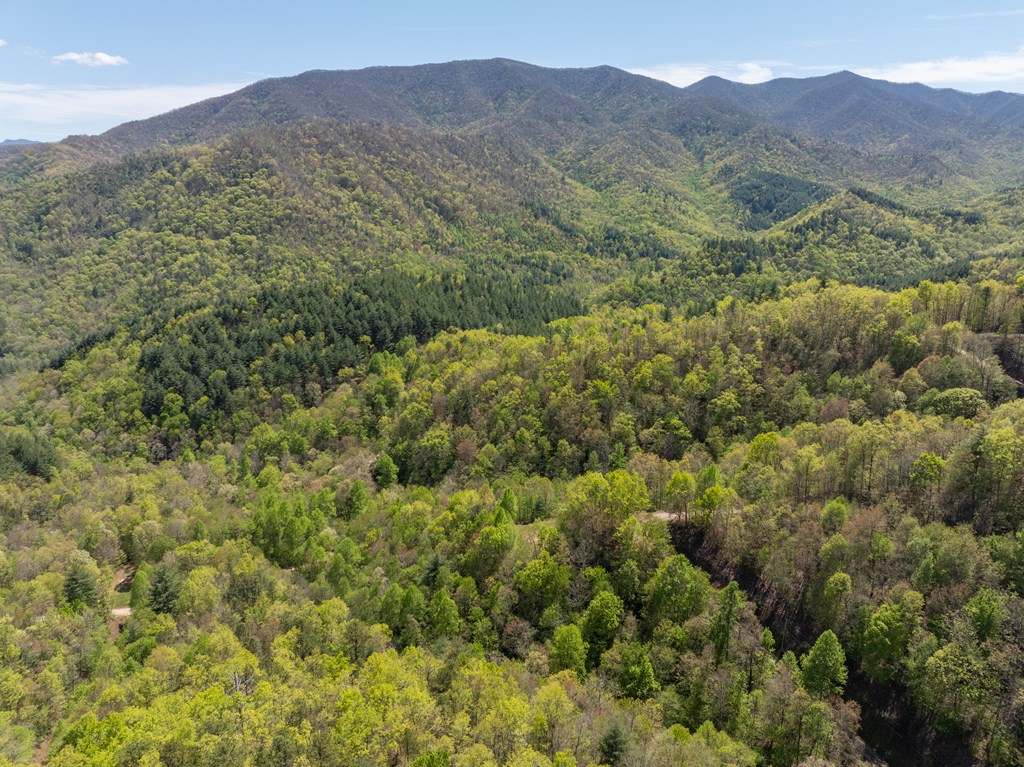 TBD Shell Stand Road, ROBBINSVILLE, North Carolina image 20