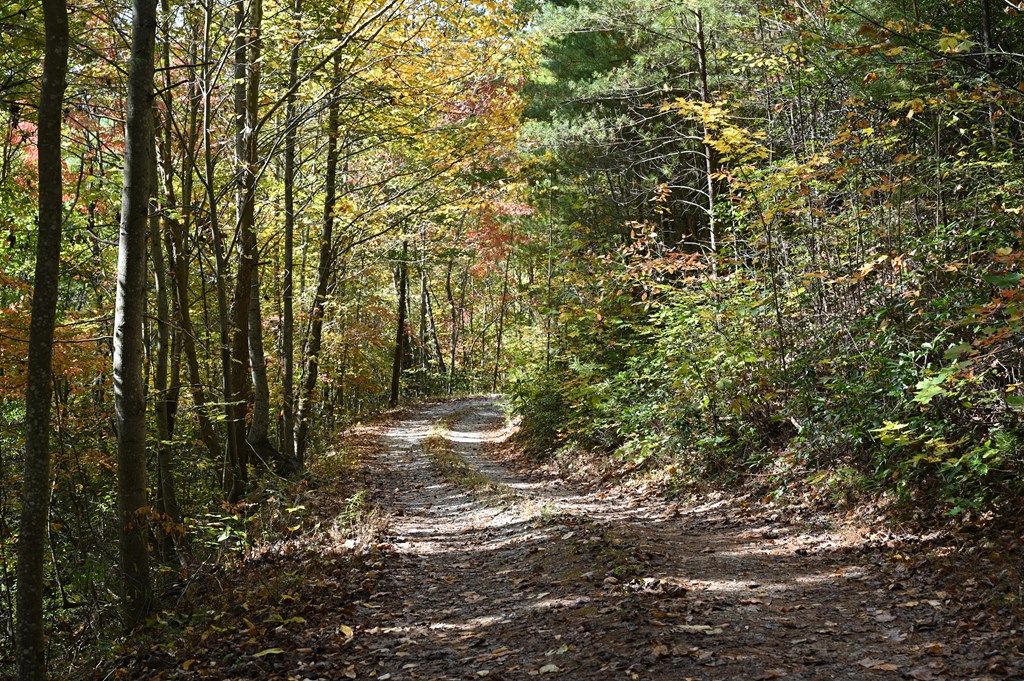 TBD Forest Hil Estates #9, ANDREWS, North Carolina image 4