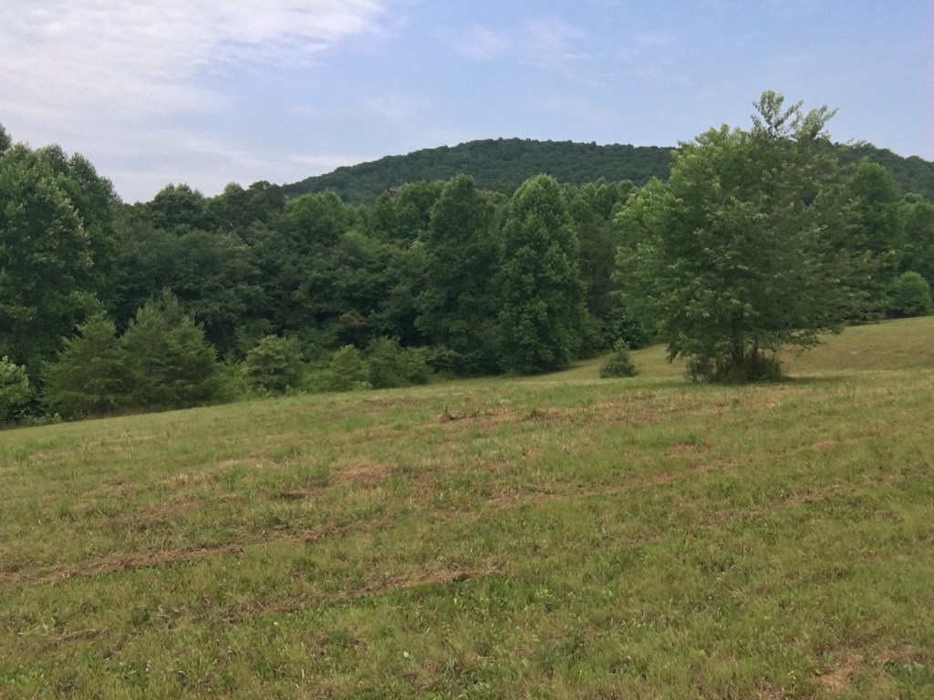 Lot 75 Minstead Ridge #75, YOUNG HARRIS, Georgia image 3