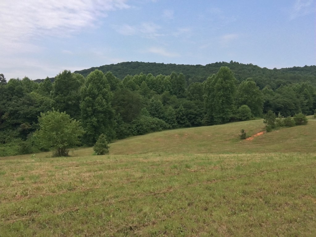 Lot 75 Minstead Ridge #75, YOUNG HARRIS, Georgia image 5