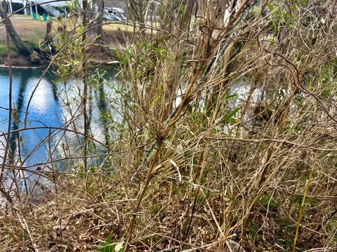 Vacant Land For Sale - Butterball Boulevard #20<br/> MURPHY, NC 28906