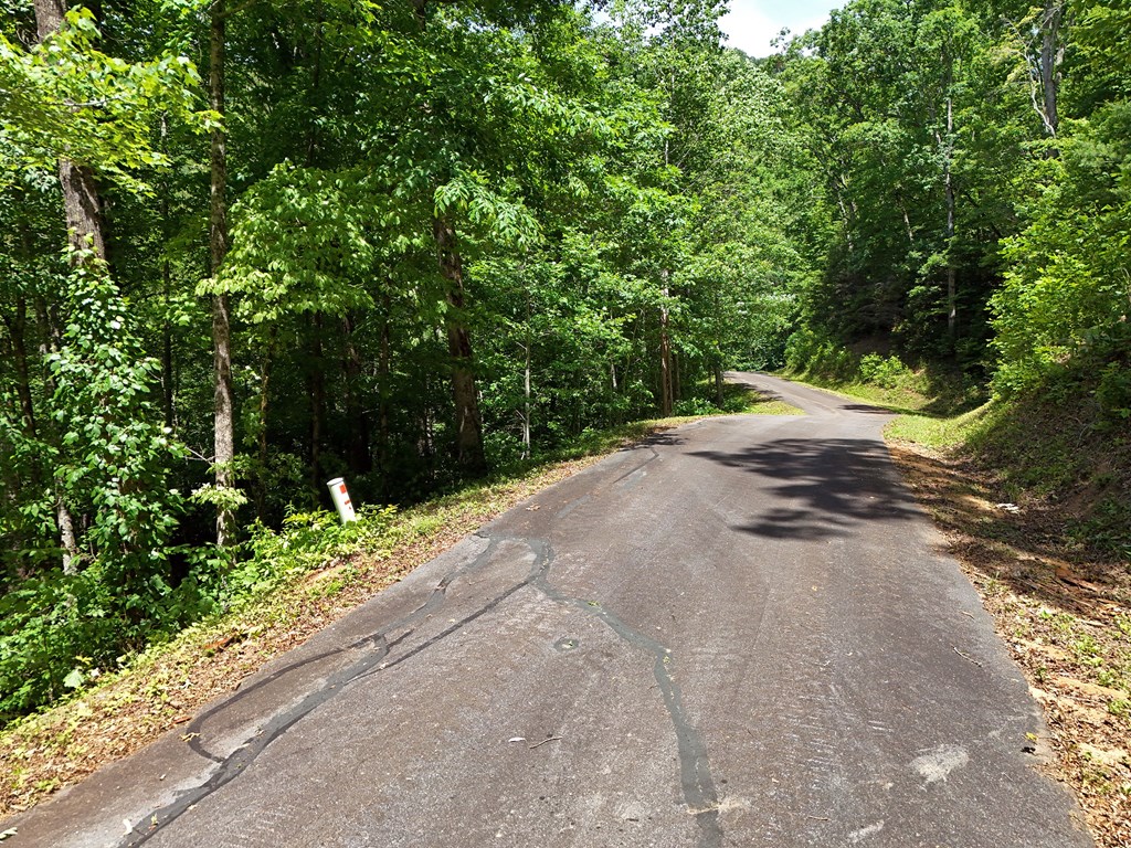15/15A Hightower Ridge, HIAWASSEE, Georgia image 6