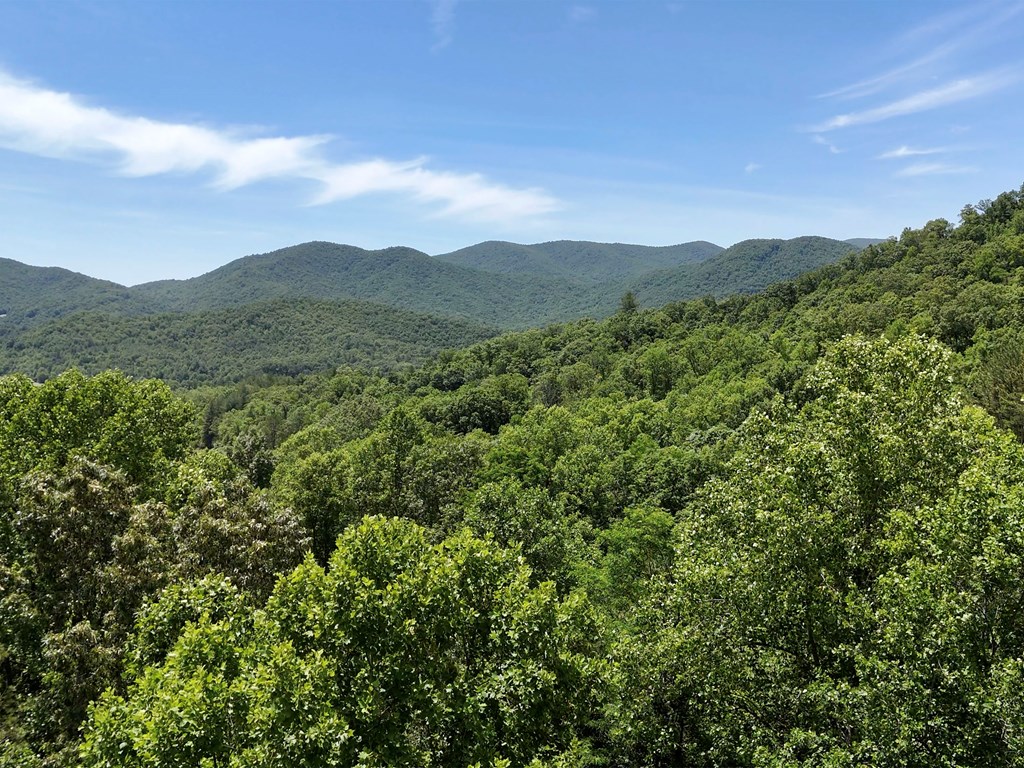 15/15A Hightower Ridge, HIAWASSEE, Georgia image 13