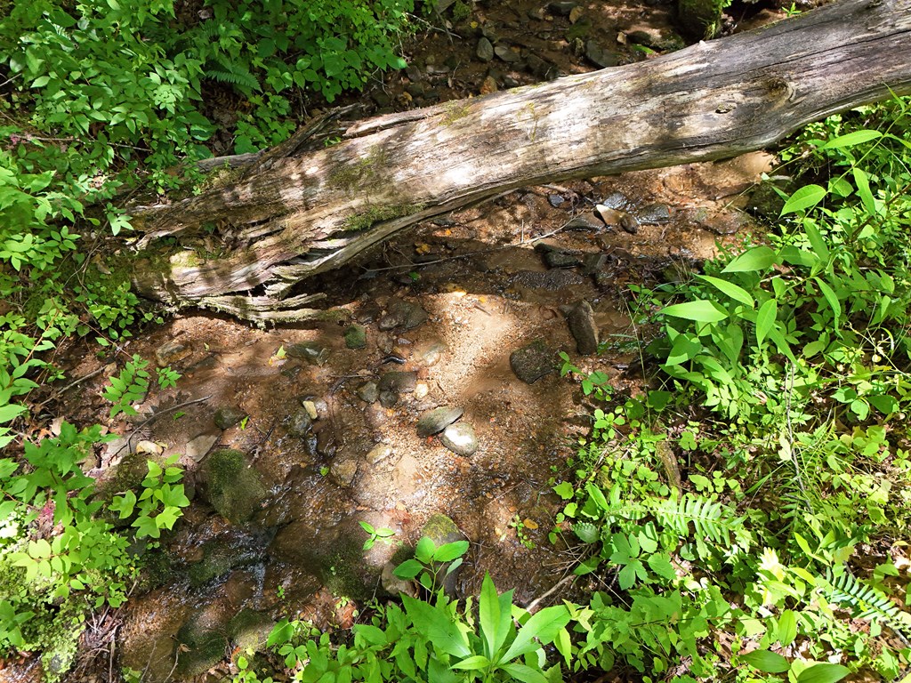 15/15A Hightower Ridge, HIAWASSEE, Georgia image 22