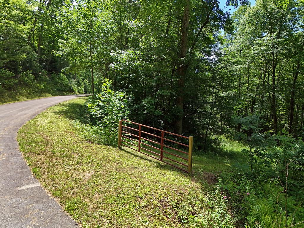 15/15A Hightower Ridge, HIAWASSEE, Georgia image 1