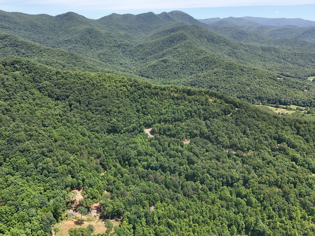 15/15A Hightower Ridge, HIAWASSEE, Georgia image 21