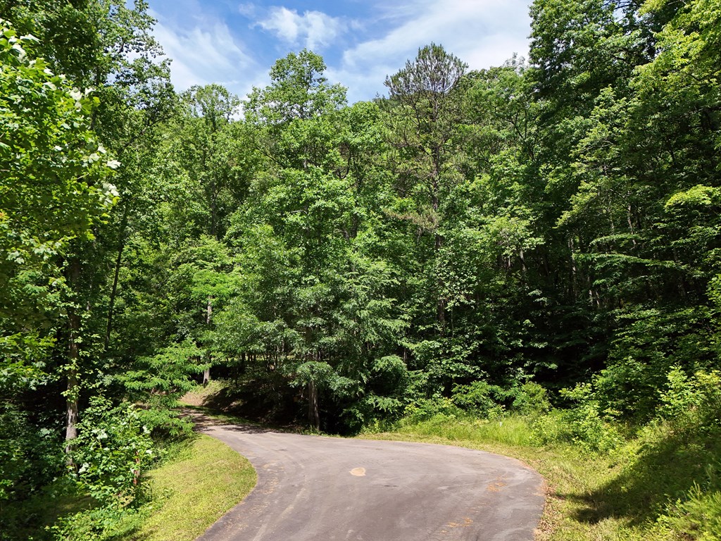 15/15A Hightower Ridge, HIAWASSEE, Georgia image 8