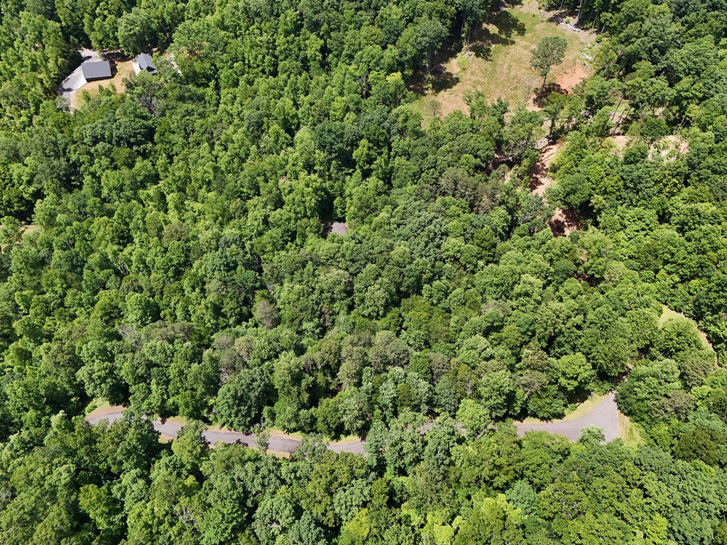 15/15A Hightower Ridge, HIAWASSEE, Georgia image 12