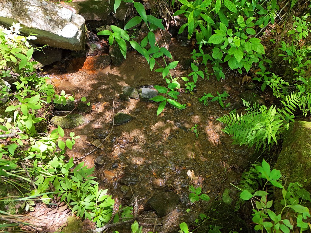 15/15A Hightower Ridge, HIAWASSEE, Georgia image 10