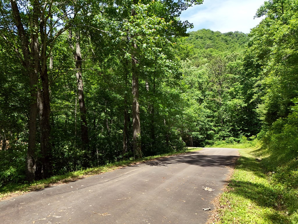 15/15A Hightower Ridge, HIAWASSEE, Georgia image 7