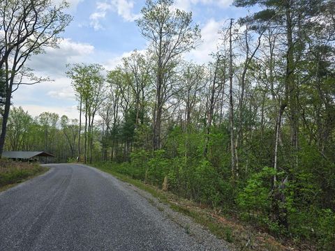 Vacant Land For Sale - LOT 10 Kennedys Court #10<br/> Union County, BLAIRSVILLE, GA 30512