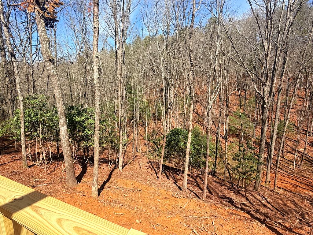 52 Noelles Pass, MURPHY, North Carolina image 5