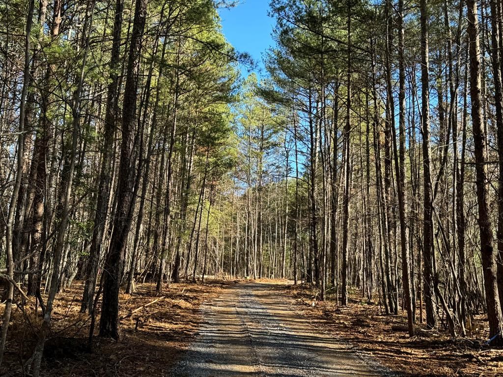 Lot 12 Noelles Pass, MURPHY, North Carolina image 3