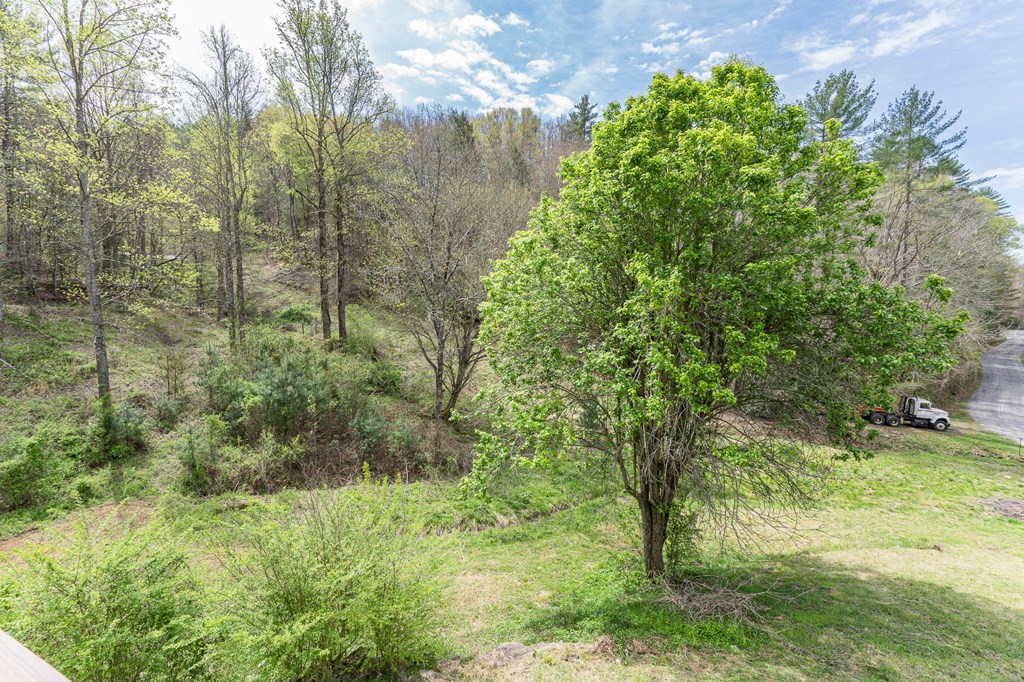 1244 Cook Creek, MURPHY, North Carolina image 30