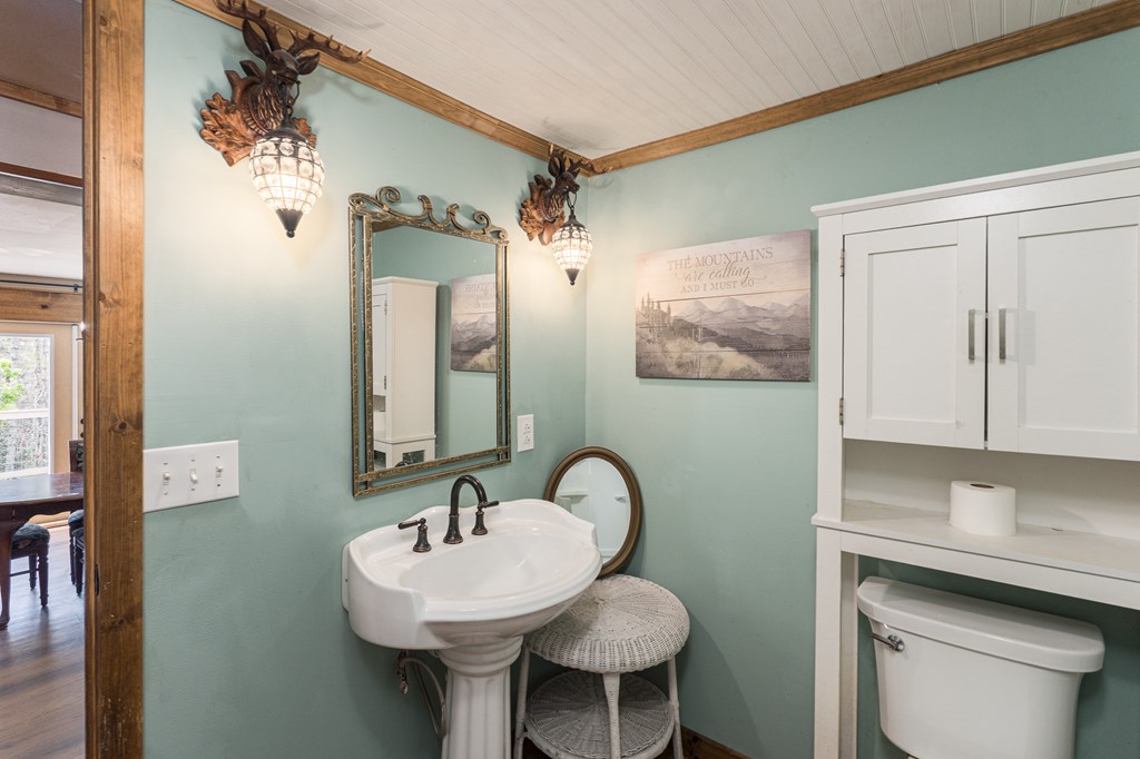 1244 Cook Creek, MURPHY, North Carolina image 16