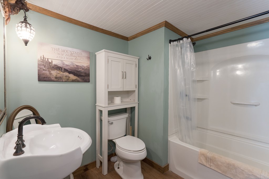 1244 Cook Creek, MURPHY, North Carolina image 17