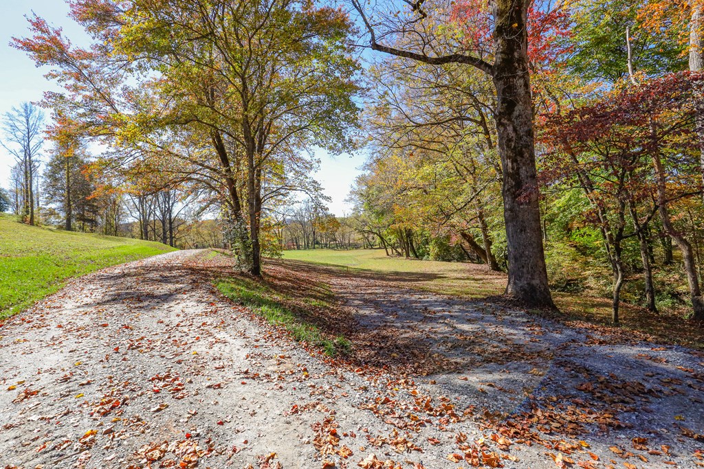 Lot 8 Hinton Overlook #8, HAYESVILLE, North Carolina image 8