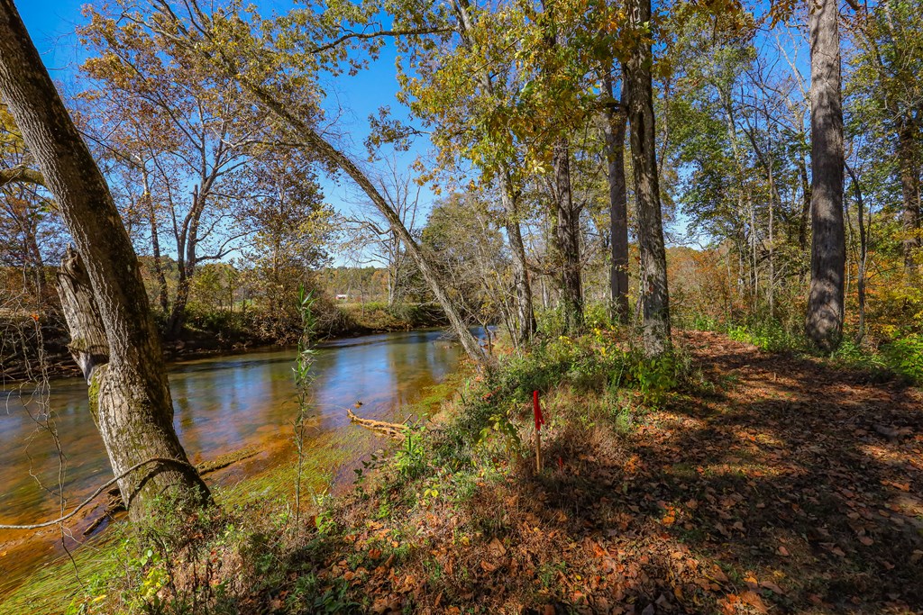 Lot 8 Hinton Overlook #8, HAYESVILLE, North Carolina image 12