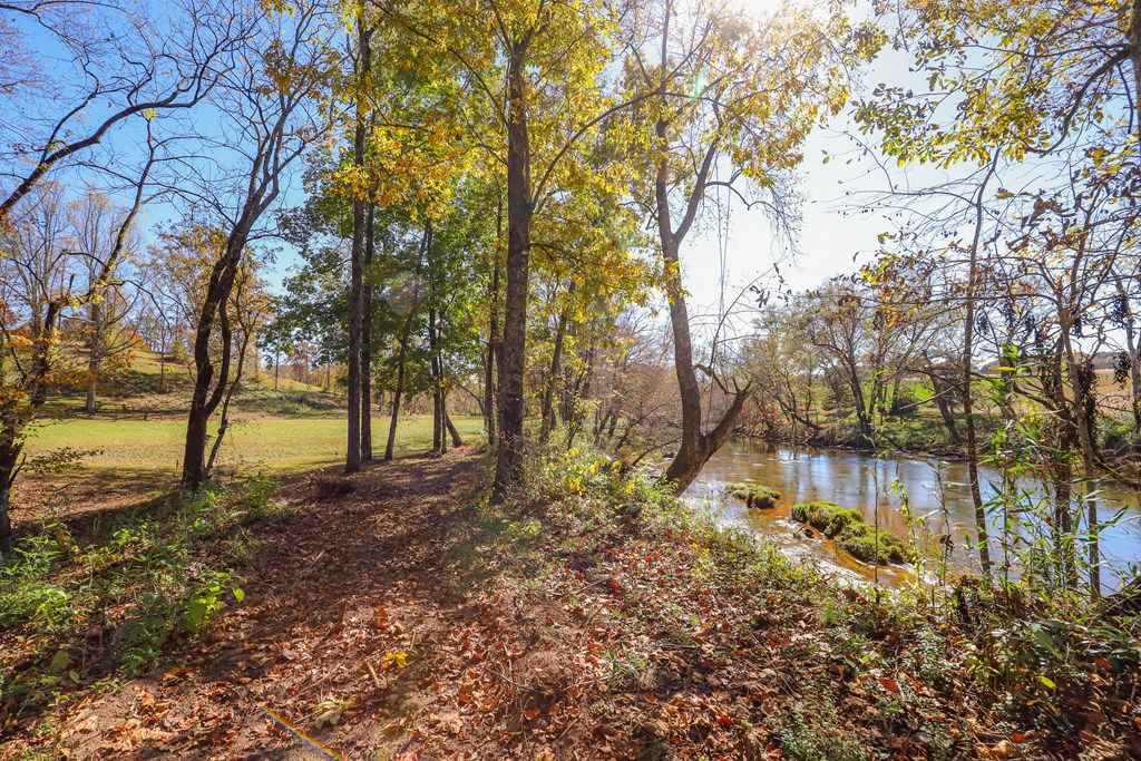 Lot 8 Hinton Overlook #8, HAYESVILLE, North Carolina image 16