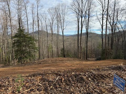 Vacant Land For Sale - N/A Wildwood Trail #20<br/> Union County, BLAIRSVILLE, GA 30512