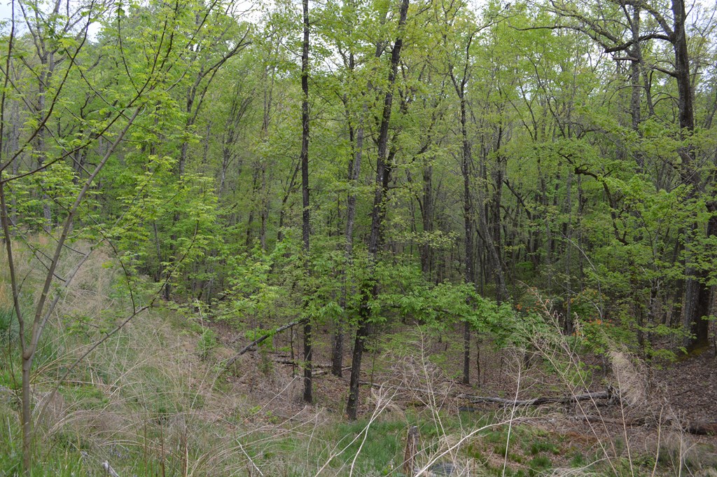 LT 16 North Ridge Trail #16, BRASSTOWN, North Carolina image 5