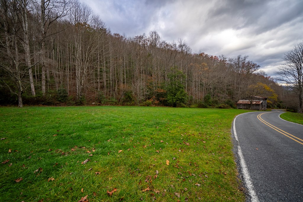 149 Floyd Carpenter Rd, ROBBINSVILLE, North Carolina image 10