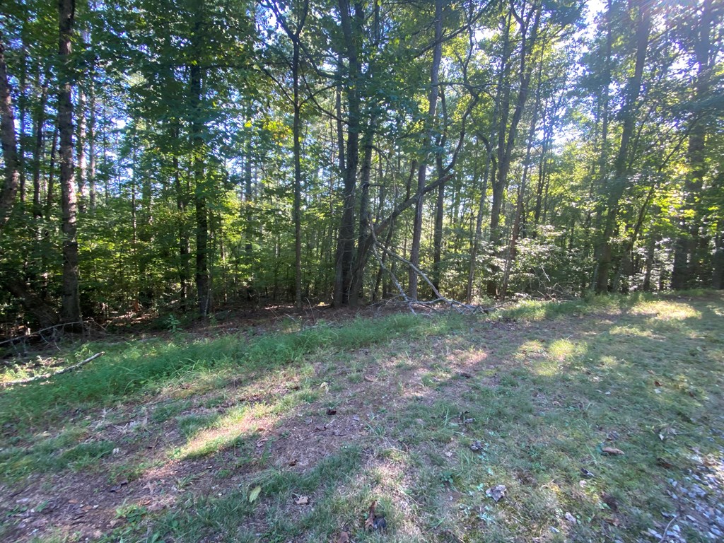 Lot 11 Appalachian Estates, MURPHY, North Carolina image 4