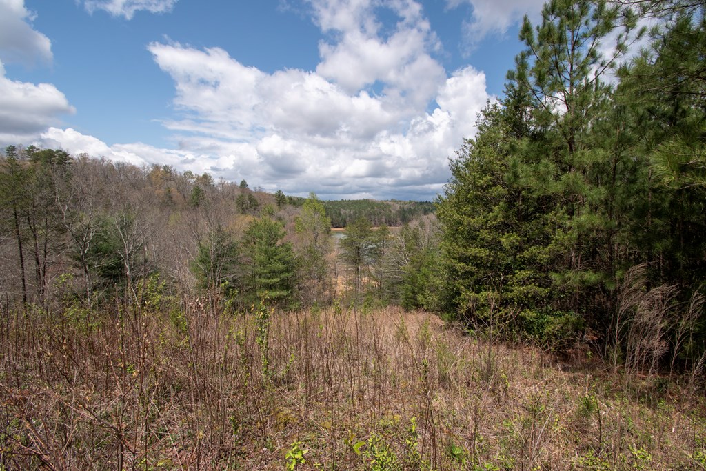 Lot 7 Foothills Estates Lane #7, MURPHY, North Carolina image 4