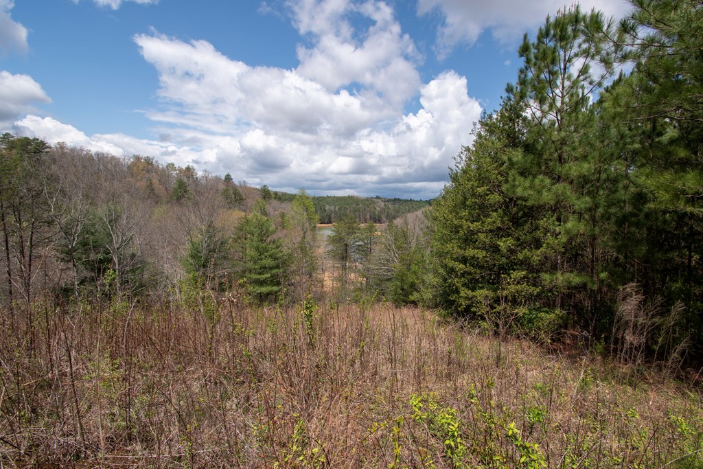 Lot 7 Foothills Estates Lane #7, MURPHY, North Carolina image 2