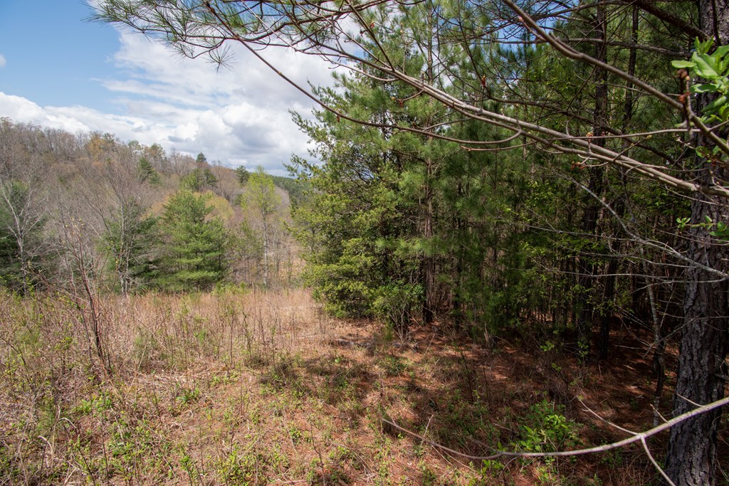 Lot 7 Foothills Estates Lane #7, MURPHY, North Carolina image 3
