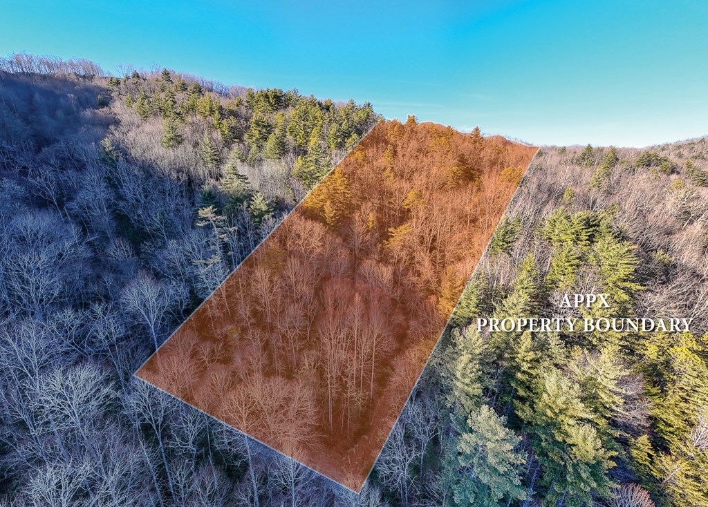 2.60+/- Union Hill Rd #TR 1, TOPTON, North Carolina image 2