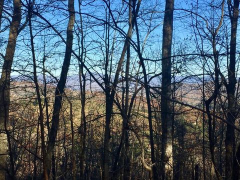 Vacant Land For Sale - 44+/-AC. Chilson Road<br/> WARNE, NC 28909