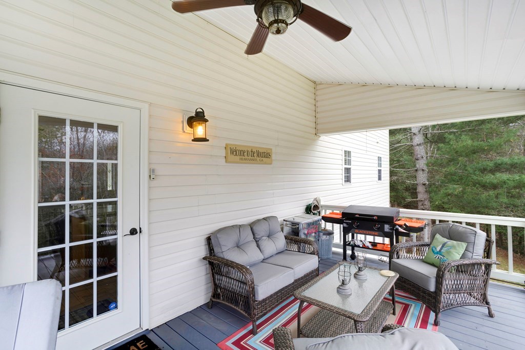 3601 Swallows Creek, HIAWASSEE, Georgia image 34