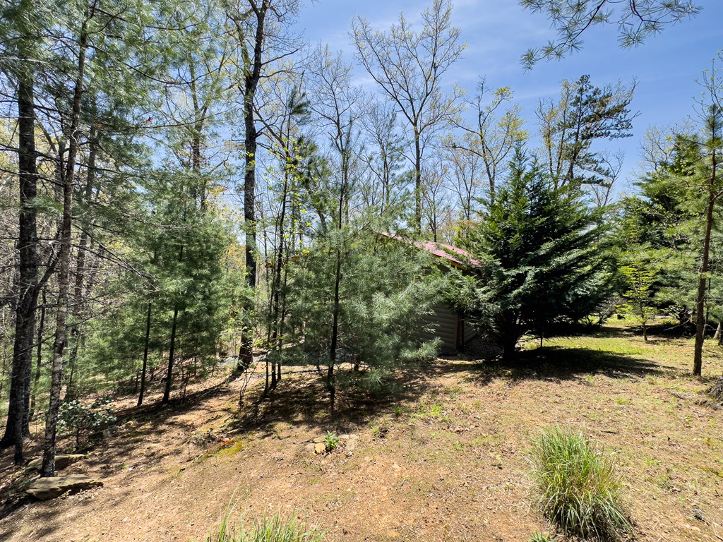 190 Fern Forest Trail, MURPHY, North Carolina image 40