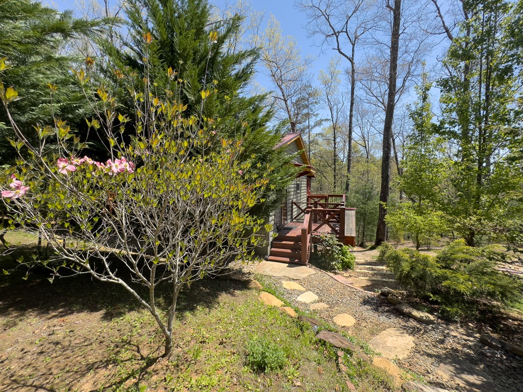 190 Fern Forest Trail, MURPHY, North Carolina image 41