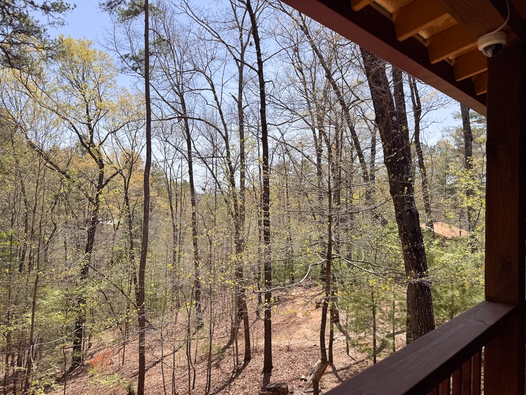 190 Fern Forest Trail, MURPHY, North Carolina image 36
