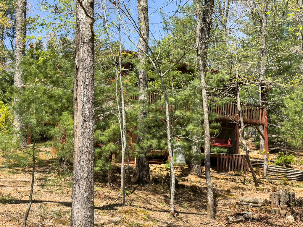 190 Fern Forest Trail, MURPHY, North Carolina image 47